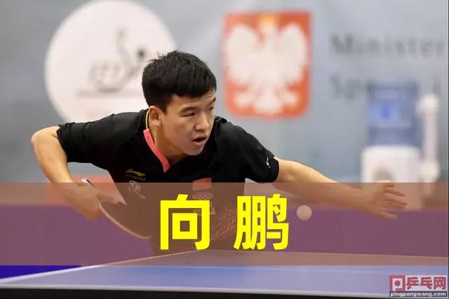 罗斯都用行